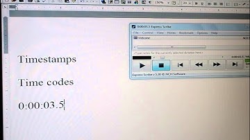 Express Scribe Hot-Key Timestamp Time Code Tutorial - Pham Transcription Services
