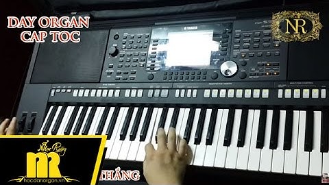 Cách Chơi ĐÀN TRANH trên Organ - Chi tiết | Học Đàn Organ Cấp Tốc TPHCM