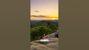 قرآن كريم بتلاوة عطرة و جميلة للشيخ سعد الغامدي سورة الفجر #سعد_الغامدي #سورة_الفجر #quran #قرآن