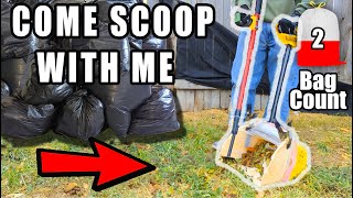 What Its Really Like To Scoop Dog Poop