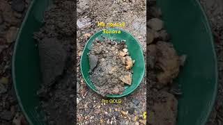 На поиске золото #золото #gold #старатели #старатель #goldprospector #goldenretriever