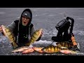 Ice Fishing For Jumbo Perch (Wisconsin)