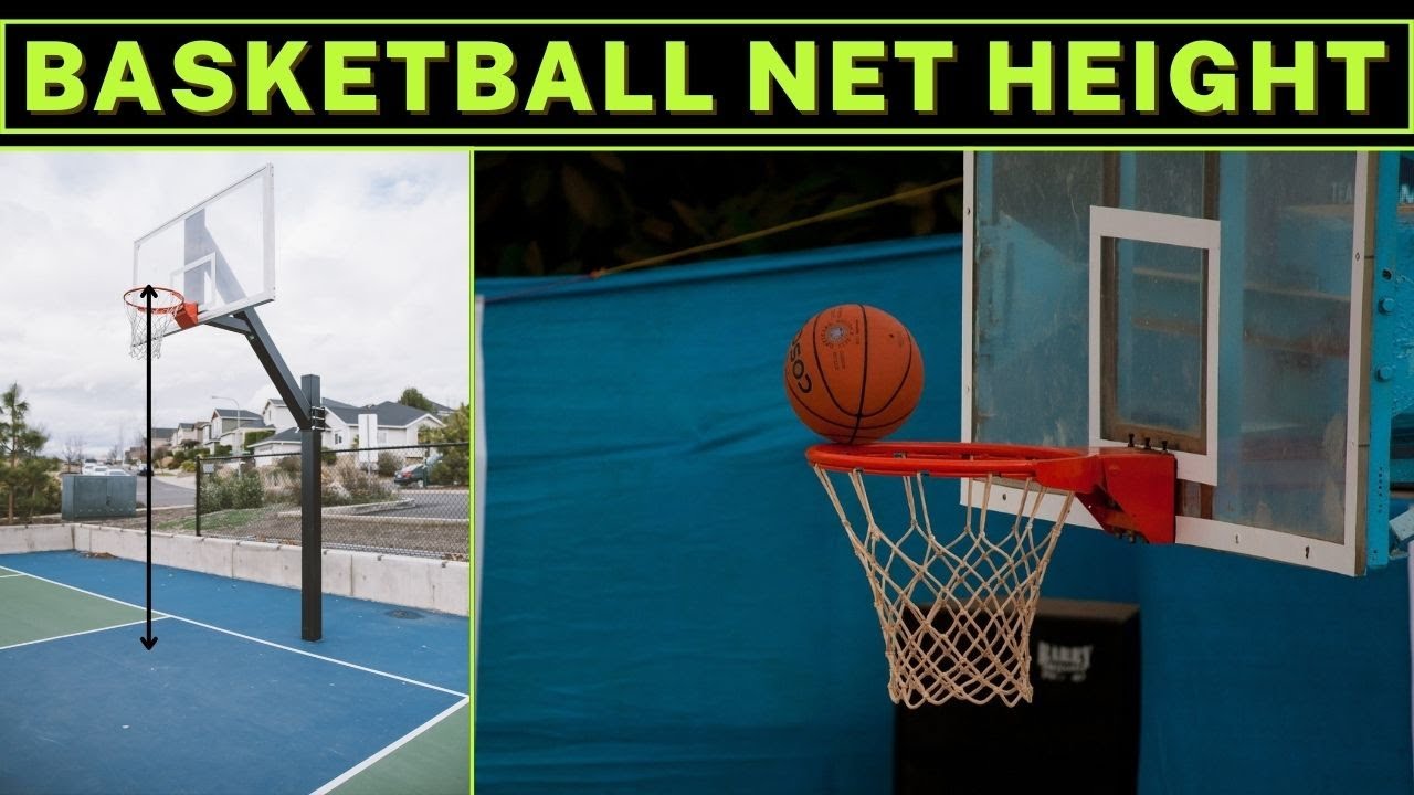 Quick Guide To Understanding Basketball Court Dimensions And Hoop Height!  by Basketball Hoop - Issuu