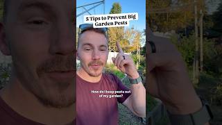 5 Tips to prevent Big Pests!