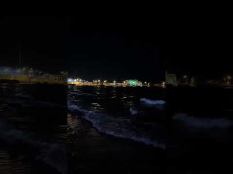 شسوا بيا هواك كلبي يمشي وراك ماجد المهندس