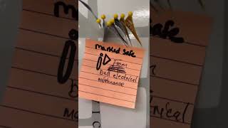#MarkedSafe: Giving Tuesday 2024