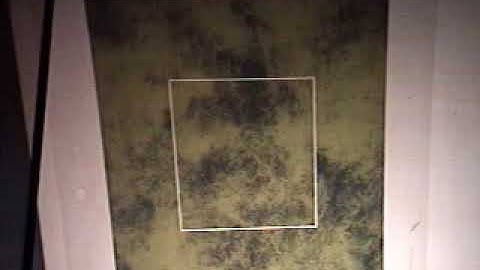 24º CBM - Palestra Plenária - K. R. Sreenivasan, ICTP, Trieste, Italy