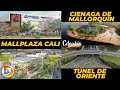 Ciénaga de mallorquín, Túnel de Oriente y Mallplaza Cali | Noticias de Infraestructura Colombia