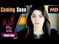 Watch Gunnah - Coming Soon | Aplus Dramas | Sara Elahi, Shamoon Abbasi, Asad Malik | Pakistani Drama Online In HD