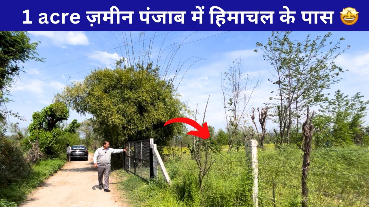 1 acre land for sale in talwara Punjab near himachalVideo no: 180