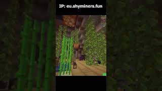 Сюжет складывается — ванильный сервер Minecraft! #minecraft #shyminers #майнкрафт #ванильныйсервер