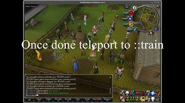 New RuneScape Private Server || EradicationX- Beginners Guide