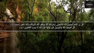 قل الله مالك الملك بصوت رائع للقارئ رعد الكردي من قناة أياتي أياتي HD
