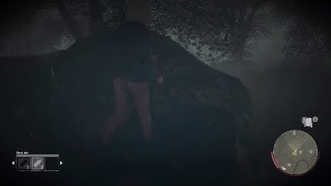 Friday The 13th Working Hiding/Glitch Spot On Packanack Small