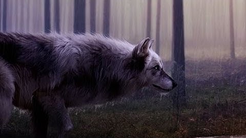 Lista simple Insertar datos en medio (antes y después de) java netbeans