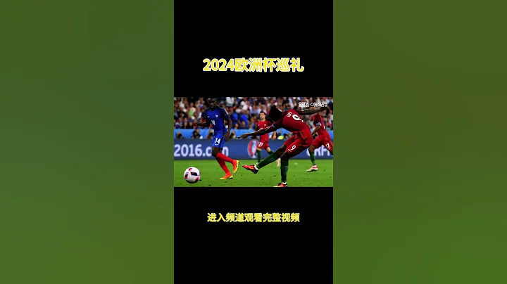 2024歐洲杯歐羅巴巡禮，C羅因傷下場葡萄牙意外擊敗對手奪冠 - 天天要聞