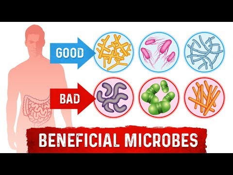 8 Health Benefits of Probiotics - Dr.Berg