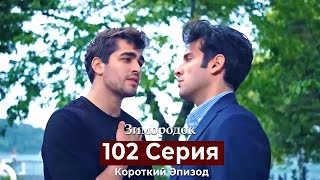 Зимородок 102 Cерия (Короткий Эпизод) (Русский Дубляж)