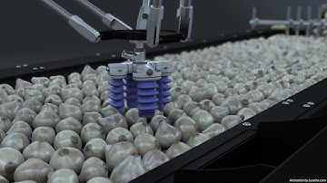 Technical Animation | Modular Neural Sorting System | Artificial Intelligence A.I.