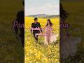 Panchhi sur mein gaate hai #love #hindisong #bolleywoodsong #ytshorts #90severgreen #virslshorts#dj