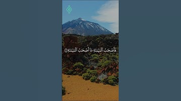 📖 سورة الواقعة 1-12 | تلاوة خاشعة بصوت ماهر المعيقلي 🎧