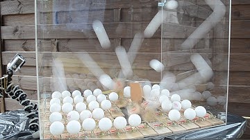 Mousetrap fission - GoPro Hero 3+ Plus Slow Motion - Chain reaction experiment