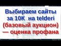 Выбираем сайты за 10К (схема 3*10К) на telderi (базовый аукцион) — оценка профана