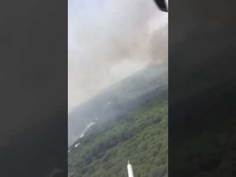 Incendio en Doñana