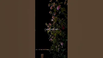 و من الهوى و شوقه الغلاب بدون موسيقى نواف فريح 