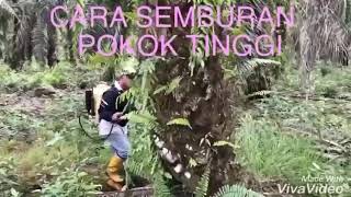 Cara semburan Baja air fast grow bagi pokok tinggi