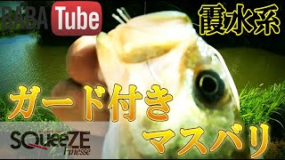 BABATube【霞水系】陸っぱりでSqueezeを使ってみた！