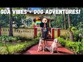 Goa Diaries: Beach Days, Dogs, Food & Friendship 🌴🐾