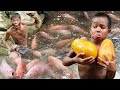 Primitive Technology - Find Food In The Jugle & Cooking Red Fish Eating Delicious - Kmeng Prey