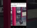 No one is breaver than this chiken #funny#funny#funny
