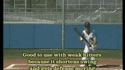 Breaking Down the Slash Bunt