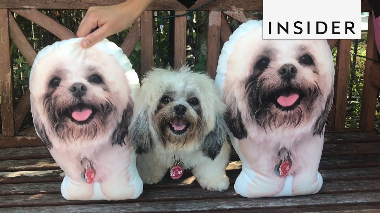 pillow that looks like your dog