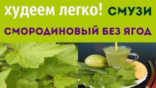 КАК ПРИГОТОВИТЬ СУПЕРВИТАМИННЫЙ СМОРОДИНОВЫЙ СМУЗИ БЕЗ ЯГОД ДЛЯ ПОХУДЕНИЯ КАК ПРИГОТОВИТЬ СУПЕРВИТАМИННЫЙ СМОРОДИНОВЫЙ СМУЗИ БЕЗ ЯГОД ДЛЯ ПОХУДЕНИЯ