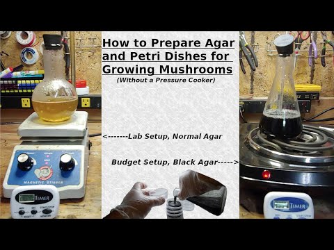 How to Prepare Agar and Petri Dishes. (No pressure cooker required)