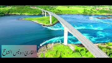 القارئ ونيس الشامخ