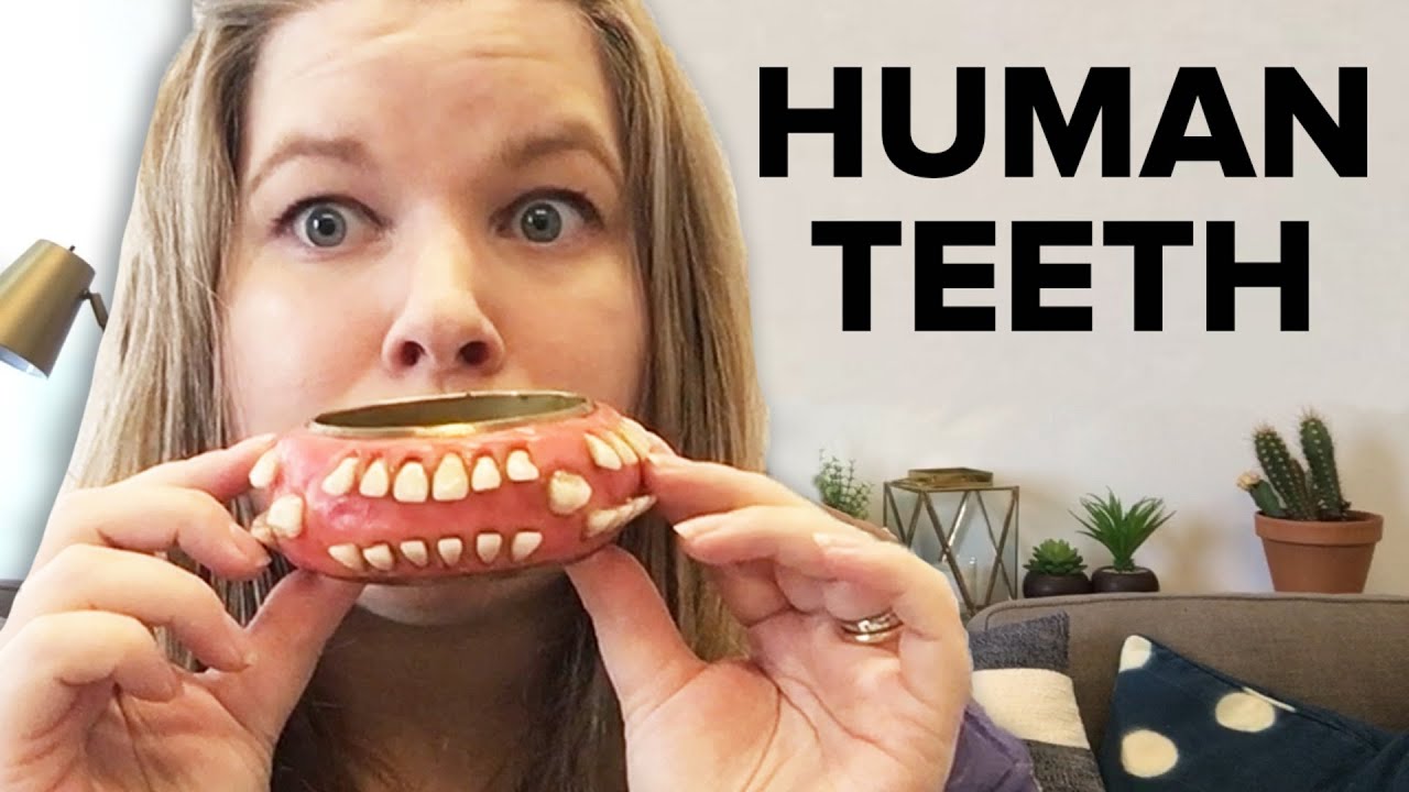 I Bought Human Teeth Jewelry From Etsy Youtube