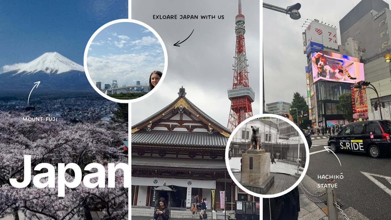Tokyo Adventure! Big Cat,Hachikō Statue,Shibuya, Temples, Tokyo Tower, TeamLab, Odaiba & Mt. Fuji 🇯🇵