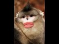 Funny Moments PT4