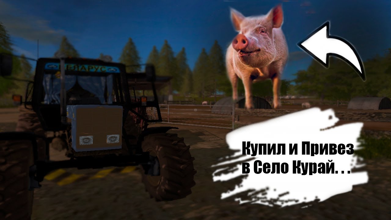 Купил СВИНЕЙ И ОТВЕЗ ИХ В СВИНАРНИК! в Селе Курай.