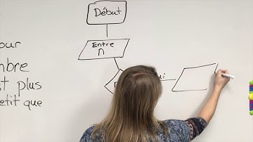 Créer un algorithme