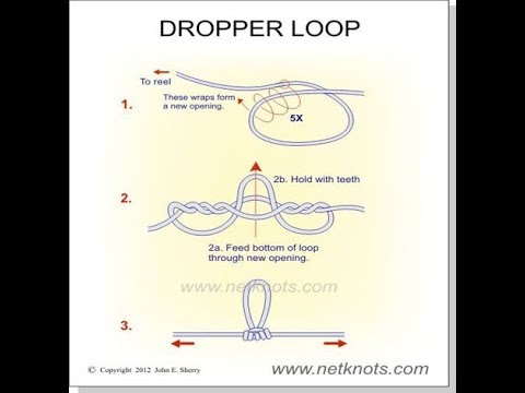 Tackle Tip Thursday Vol. 75 (Dropper loop) 