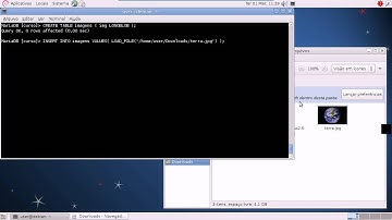 Tipos de dados MySQL e MariaDB: Tipo binário. BLOB