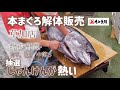 本まぐろ解体販売【草加店】観て楽しい、食べて美味しい解体ショー。