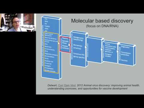 Linking Viral Discovery