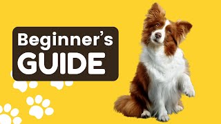 The Secrets to Winning Your Dog's Love: A Beginner's Guide by Dog Talks 37 views 3 months ago 4 minutes, 2 seconds