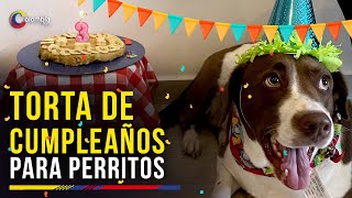 Mascotas: La mejor receta para la torta de cumpleaños de tu perrito